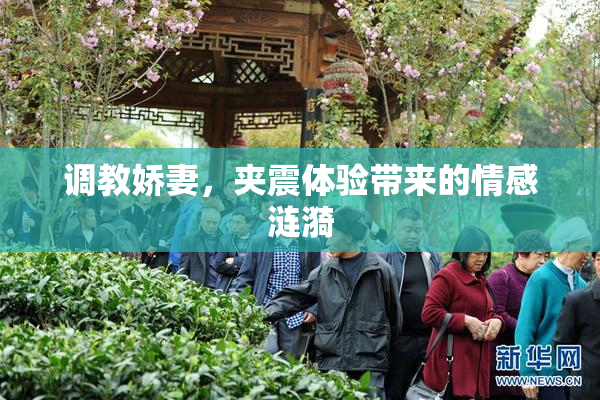 调教娇妻，夹震体验带来的情感涟漪