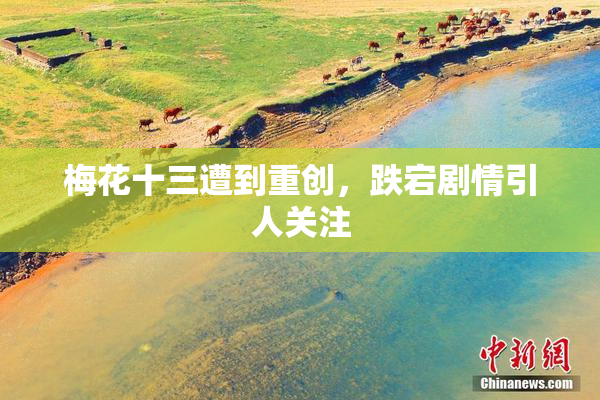 梅花十三遭到重创，跌宕剧情引人关注