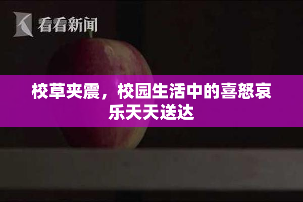校草夹震，校园生活中的喜怒哀乐天天送达