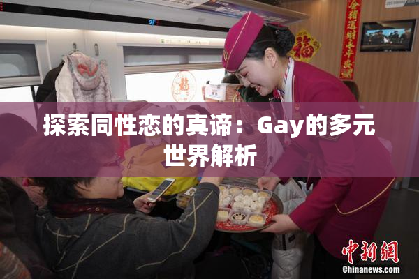 探索同性恋的真谛：Gay的多元世界解析