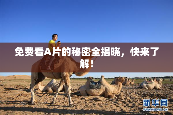 免费看A片的秘密全揭晓，快来了解！