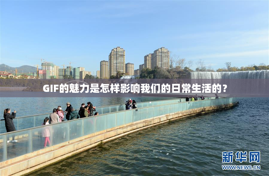GIF的魅力是怎样影响我们的日常生活的？