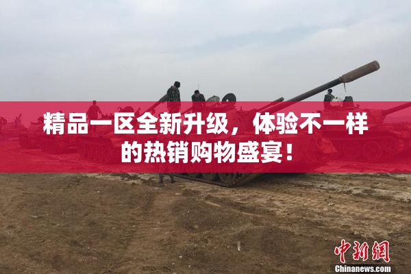 精品一区全新升级，体验不一样的热销购物盛宴！