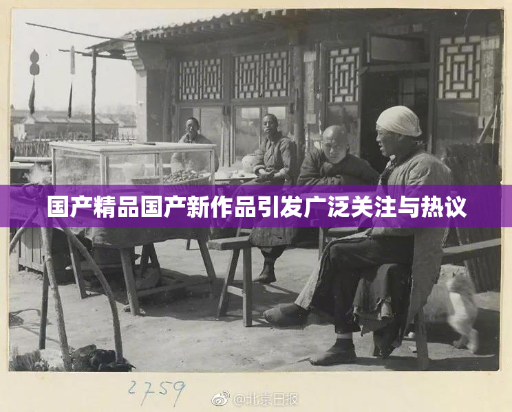 国产精品国产新作品引发广泛关注与热议