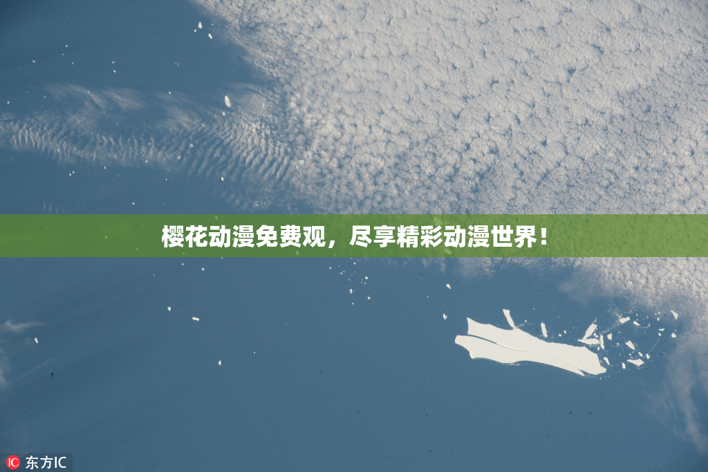 樱花动漫免费观，尽享精彩动漫世界！