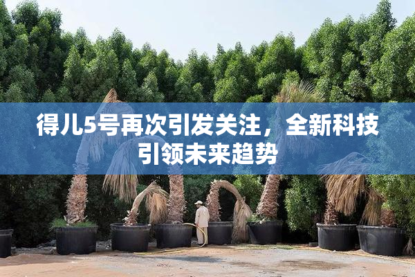 得儿5号再次引发关注，全新科技引领未来趋势