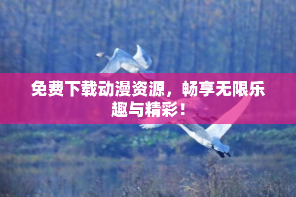 免费下载动漫资源，畅享无限乐趣与精彩！