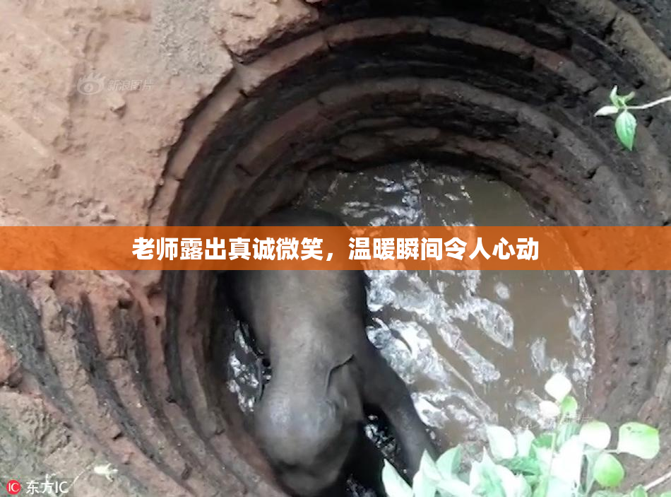 老师露出真诚微笑，温暖瞬间令人心动