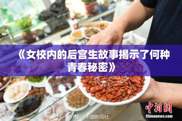 《女校内的后宫生故事揭示了何种青春秘密》
