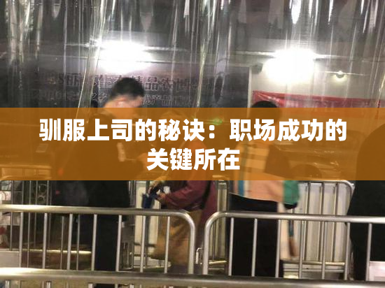 驯服上司的秘诀：职场成功的关键所在
