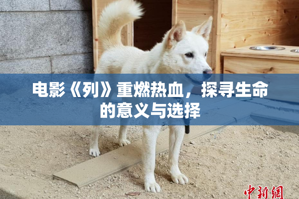 电影《列》重燃热血，探寻生命的意义与选择