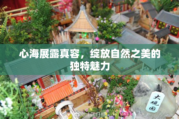 心海展露真容，绽放自然之美的独特魅力