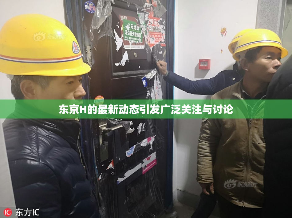 东京H的最新动态引发广泛关注与讨论