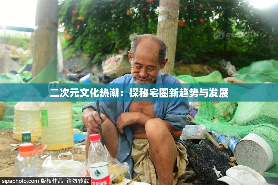 二次元文化热潮：探秘宅圈新趋势与发展