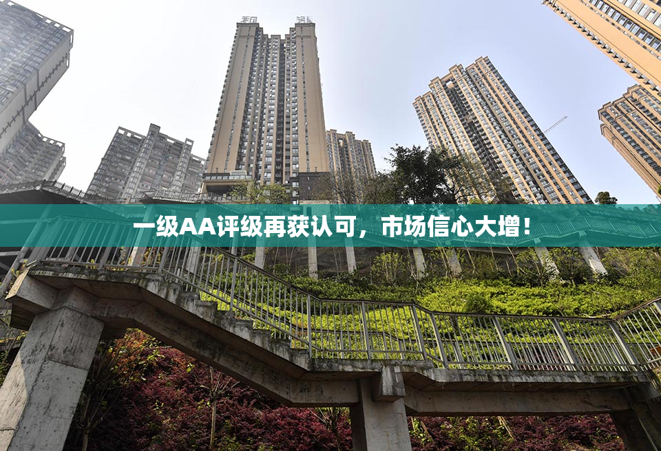 一级AA评级再获认可，市场信心大增！