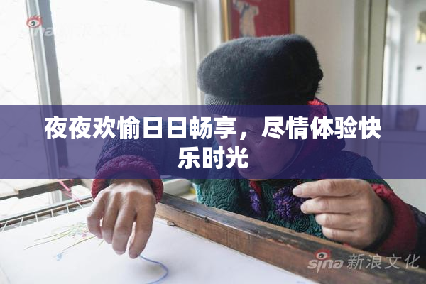 夜夜欢愉日日畅享，尽情体验快乐时光