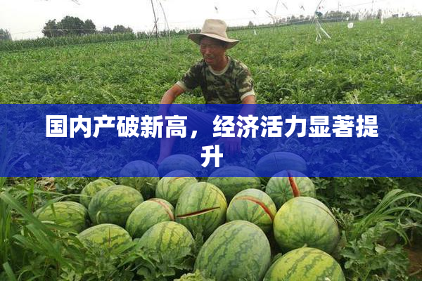 国内产破新高，经济活力显著提升