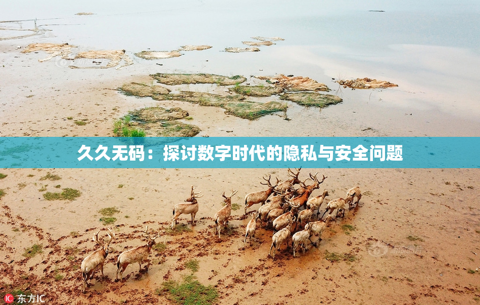 久久无码：探讨数字时代的隐私与安全问题
