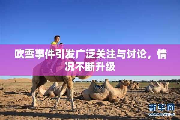 吹雪事件引发广泛关注与讨论，情况不断升级