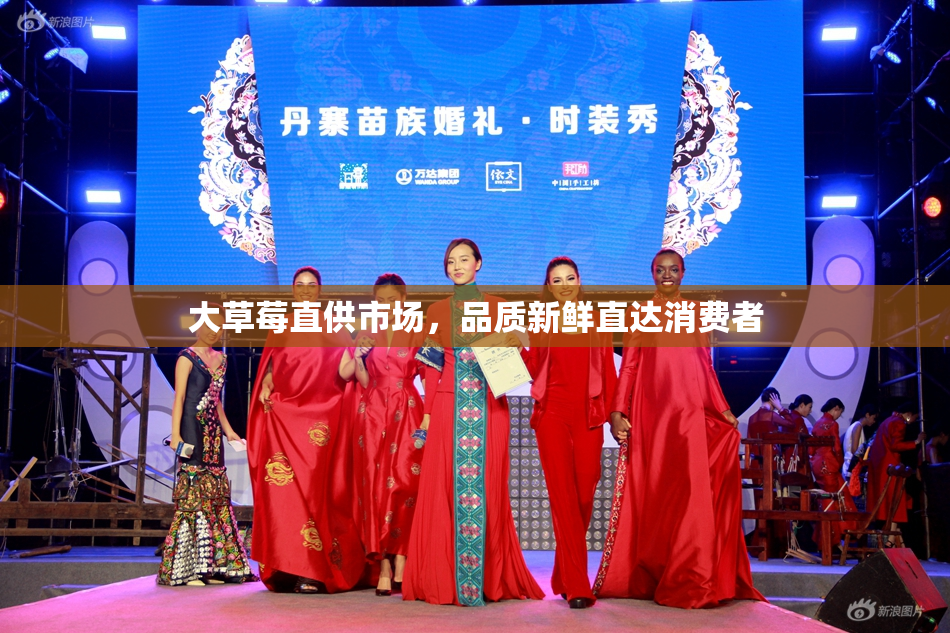 大草莓直供市场，品质新鲜直达消费者