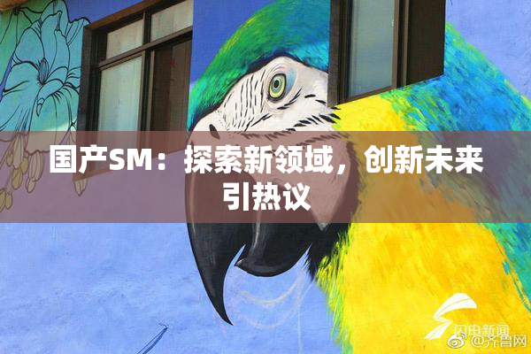国产SM：探索新领域，创新未来引热议