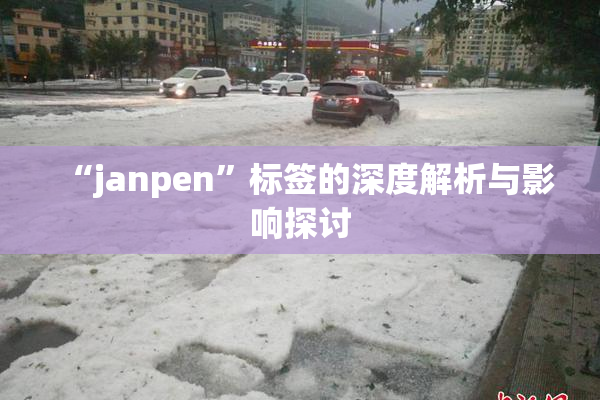 “janpen”标签的深度解析与影响探讨