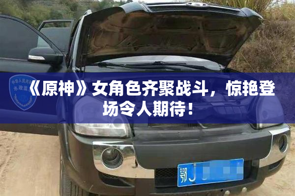 《原神》女角色齐聚战斗，惊艳登场令人期待！