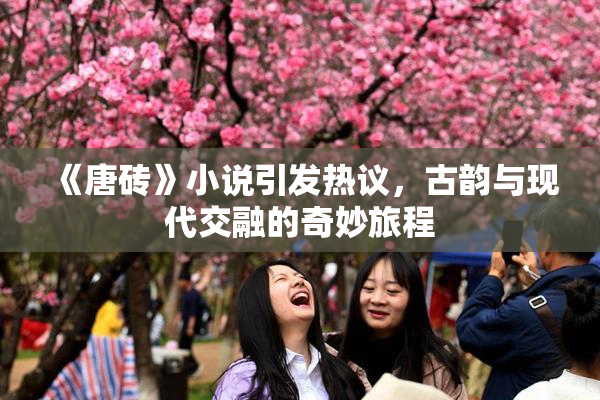 《唐砖》小说引发热议，古韵与现代交融的奇妙旅程