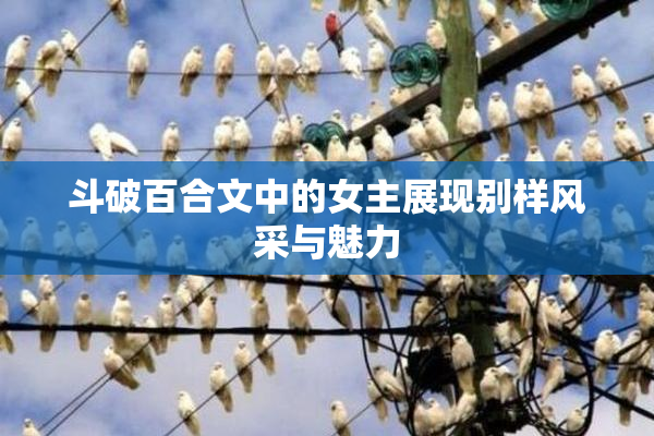 斗破百合文中的女主展现别样风采与魅力