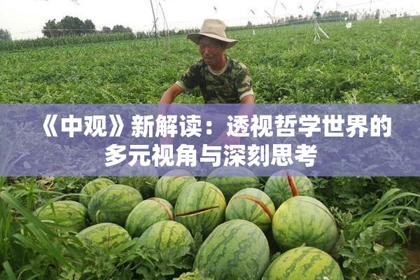《中观》新解读：透视哲学世界的多元视角与深刻思考