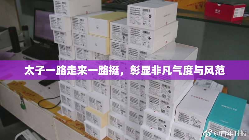 太子一路走来一路挺，彰显非凡气度与风范