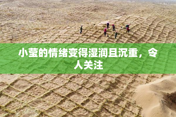 小莹的情绪变得湿润且沉重，令人关注