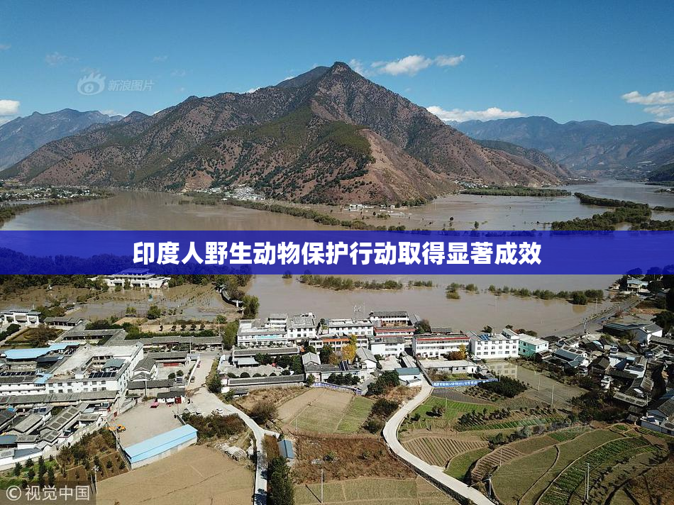 印度人野生动物保护行动取得显著成效