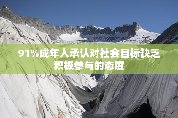 91%成年人承认对社会目标缺乏积极参与的态度