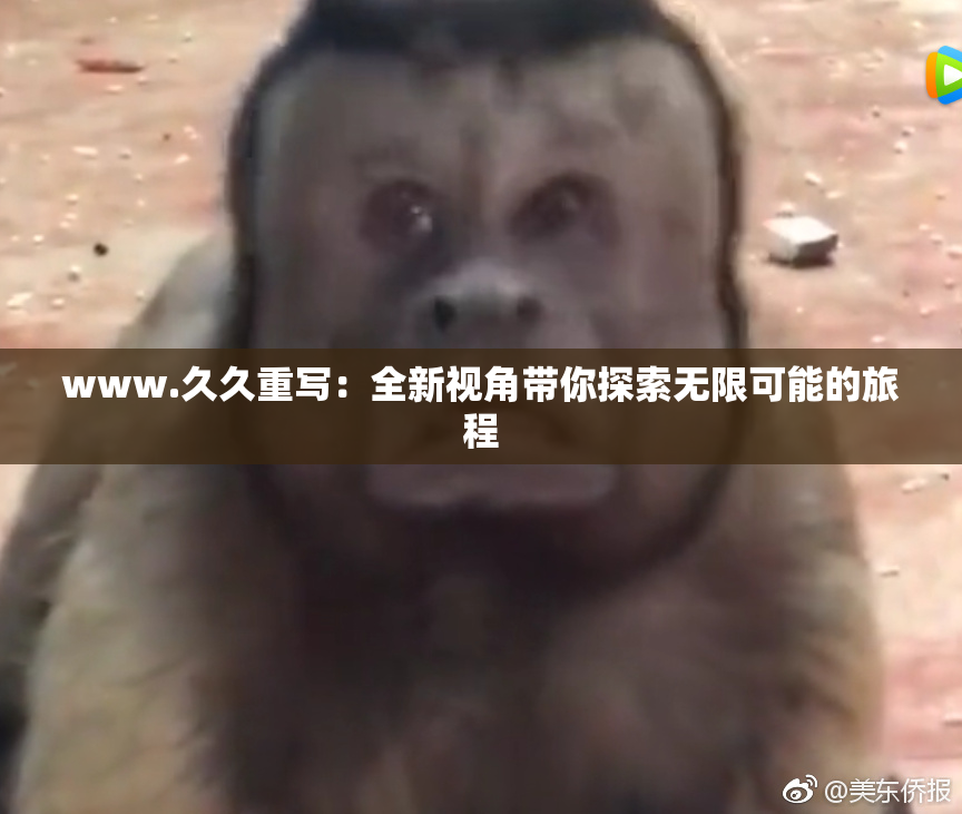 www.久久重写：全新视角带你探索无限可能的旅程