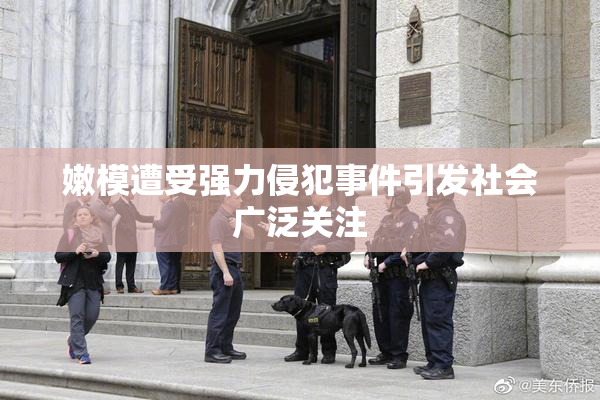 嫩模遭受强力侵犯事件引发社会广泛关注