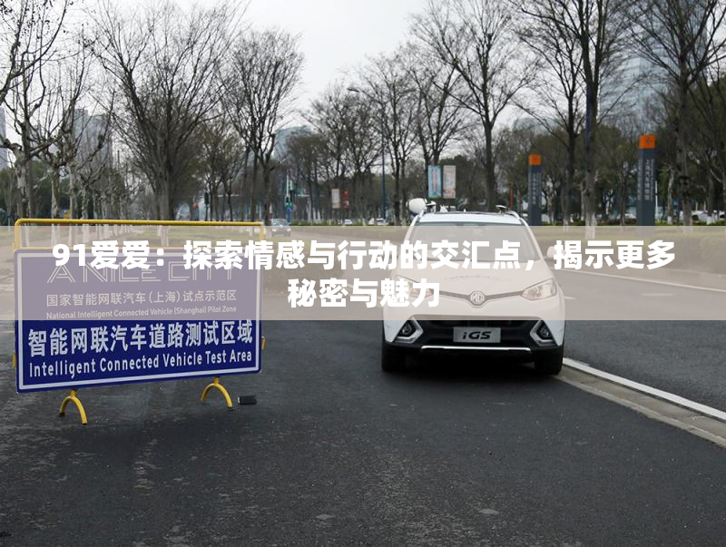 91爱爱：探索情感与行动的交汇点，揭示更多秘密与魅力