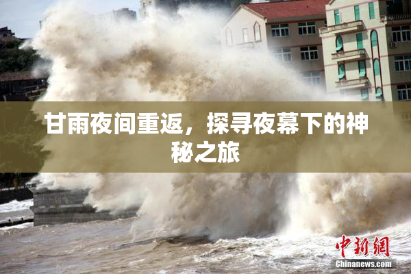 甘雨夜间重返，探寻夜幕下的神秘之旅