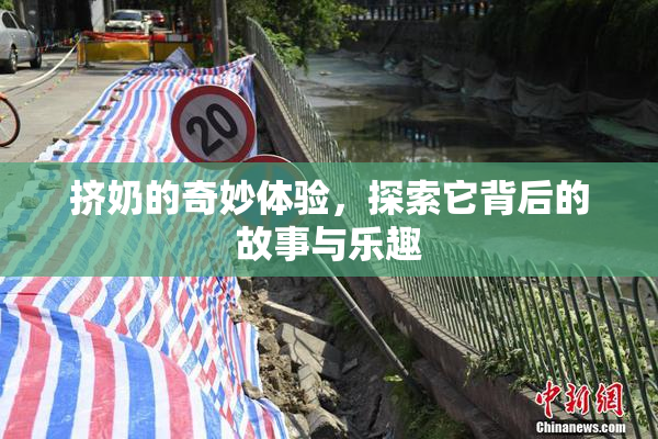 挤奶的奇妙体验，探索它背后的故事与乐趣