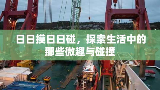 日日摸日日碰，探索生活中的那些微趣与碰撞