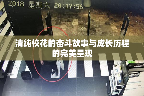 清纯校花的奋斗故事与成长历程的完美呈现