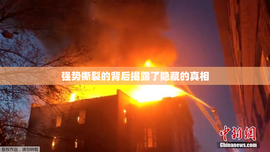 强势撕裂的背后揭露了隐藏的真相
