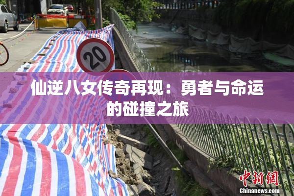 仙逆八女传奇再现：勇者与命运的碰撞之旅