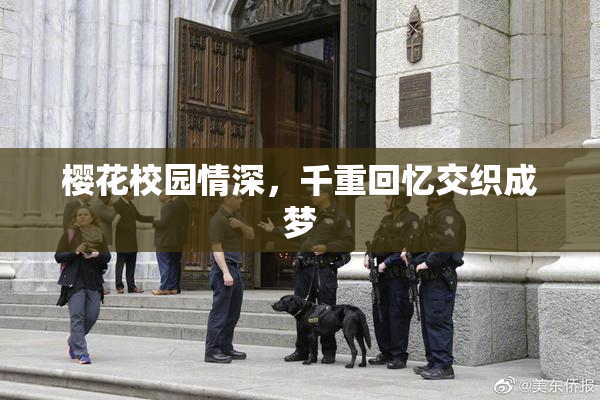 樱花校园情深，千重回忆交织成梦