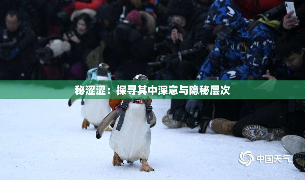 秘涩涩：探寻其中深意与隐秘层次