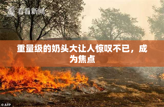 重量级的奶头大让人惊叹不已，成为焦点