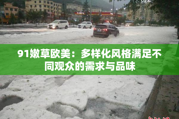 91嫩草欧美：多样化风格满足不同观众的需求与品味