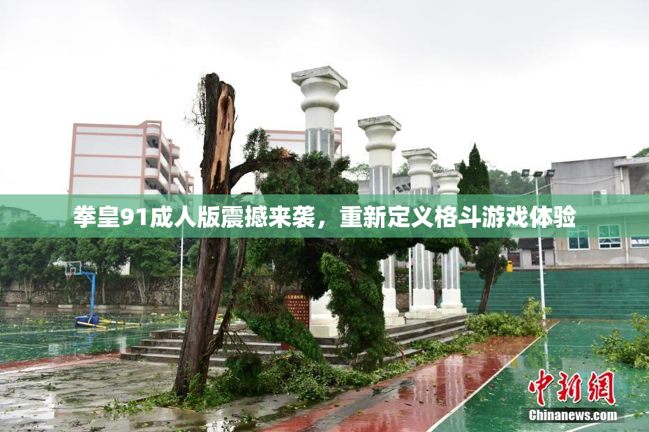拳皇91成人版震撼来袭，重新定义格斗游戏体验
