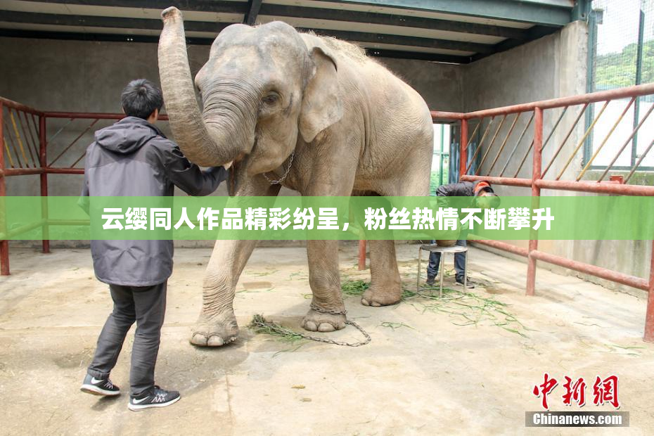 云缨同人作品精彩纷呈，粉丝热情不断攀升