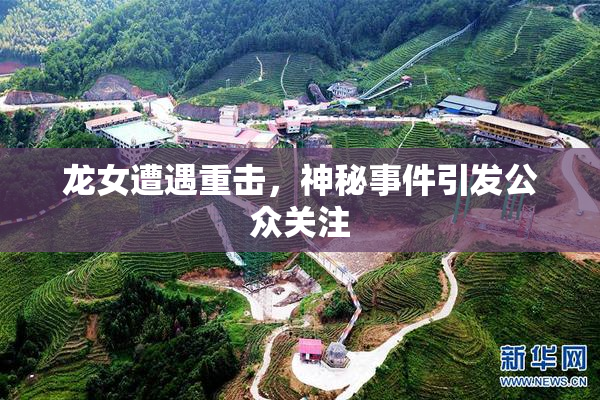龙女遭遇重击，神秘事件引发公众关注